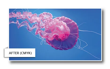CMYK After Conversion 转换为CMYK后的印刷示例
