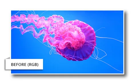 Imej RGB Sebelum Penukaran Warna Imej RGB terang sebelum penukaran untuk percetakan