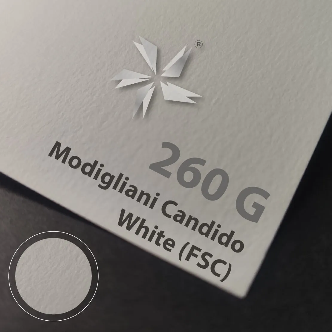 Modigliani Candido White Modigliani Candido White纹理卡纸